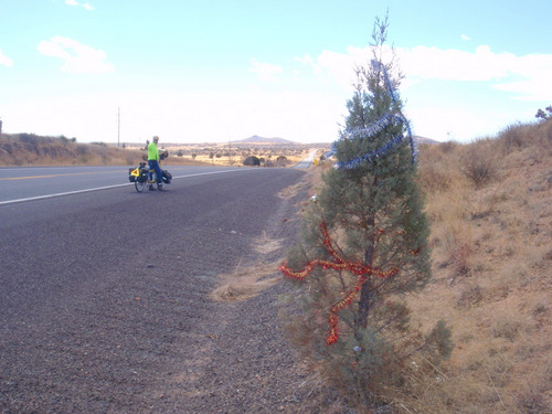 One of those impromptu roadside Christmas Tree decorations.